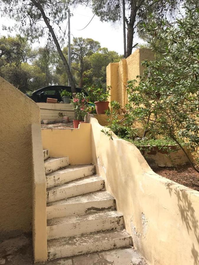 Ferienwohnung Vana Kavos Agia Marina  Exterior foto